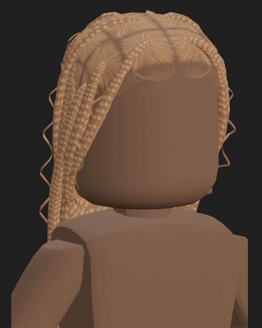 Roblox Hair 13